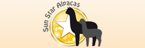 Hier kommen Sie direkt zur offiziellen Webseite von :: Sun Star Alpacas