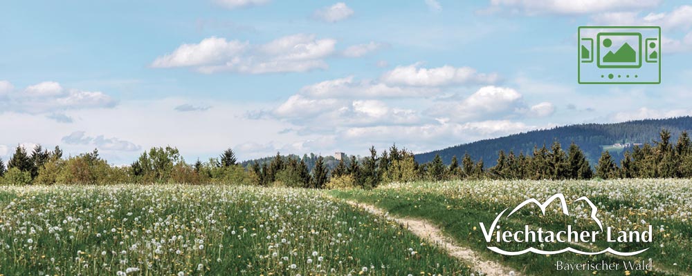 das slideshow-Fenster für 'viechtacher-land.de' anzeigen ...
Die Urlaubsregion Viechtacher Land stellt sich vor :: Sehen Sie Impressionen aus einer der schönsten Urlaubsregionen Deutschlands.
